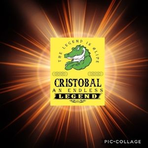 Meet your Posher, Teddy